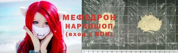 индика Протвино