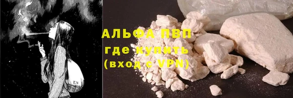 индика Баксан