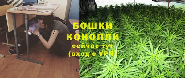 индика Баксан