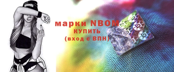 индика Протвино