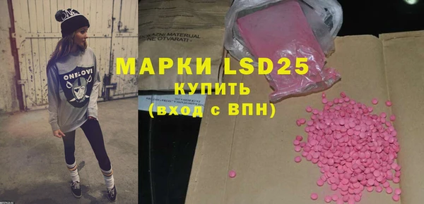индика Баксан