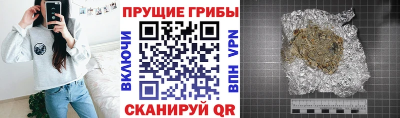 hydra ссылки  Бодайбо  Псилоцибиновые грибы ЛСД 